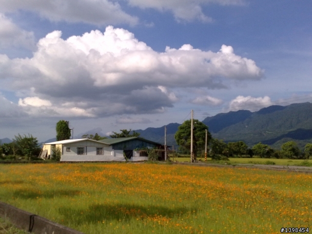 ［後勤日記］6月底 東部，池上~台東