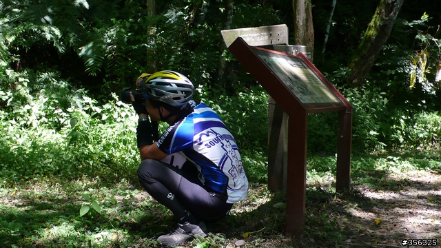 [遊記] 清石林道/霞喀羅古道夏日青爽騎