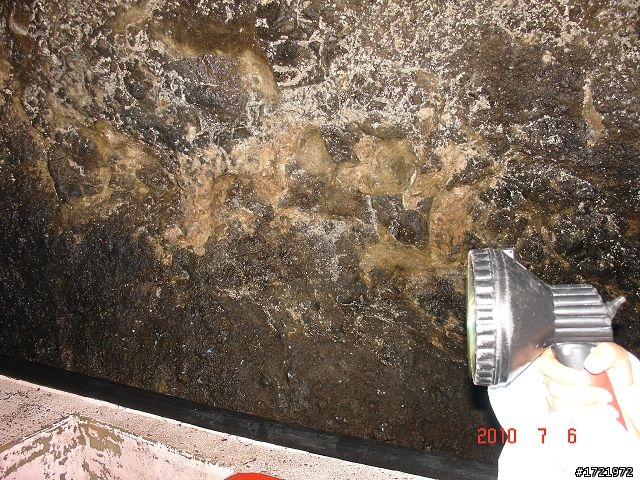 女兒與我首次環島十天九夜遊2010 6/28~7/7