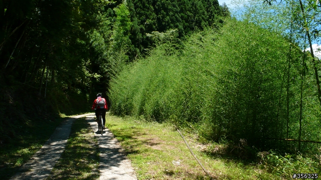 [遊記] 清石林道/霞喀羅古道夏日青爽騎
