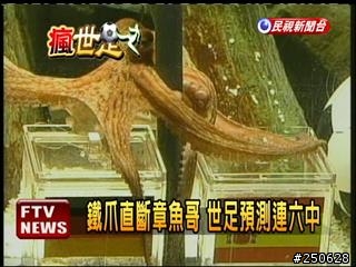 章魚哥為什麼可以預測0失誤??