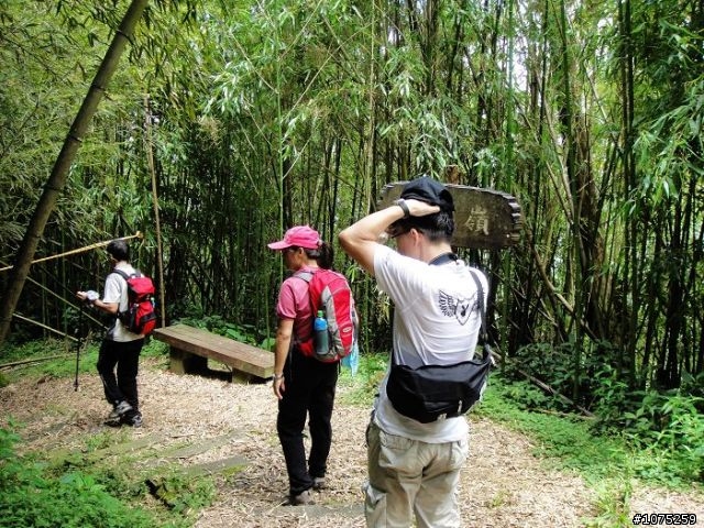 (照片)20100703奮起湖大凍山登山健行