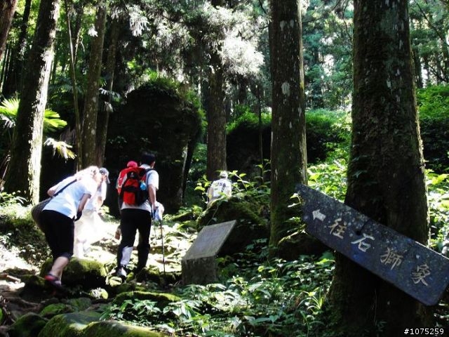 (照片)20100703奮起湖大凍山登山健行