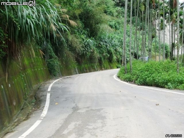 20100725嘉義阿里山公路公田路線探勘..算是成功啦!!
