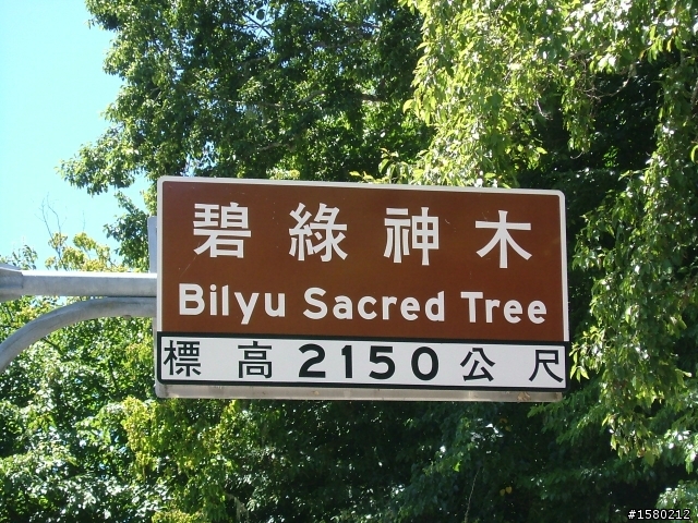 大激激與我環島去~8天逆時針海岸線~加花蓮太魯閣~武嶺
