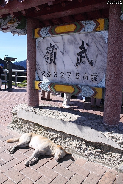 (遊記) 7/4 力行產業道路-投89