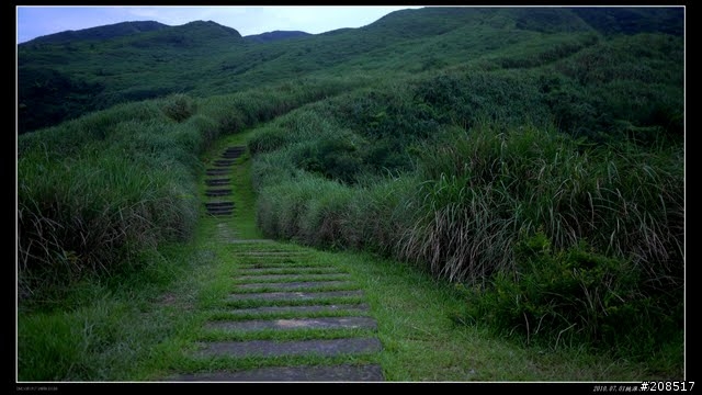 終於看到台灣的右肩：桃源谷步道越嶺 -草嶺古道
