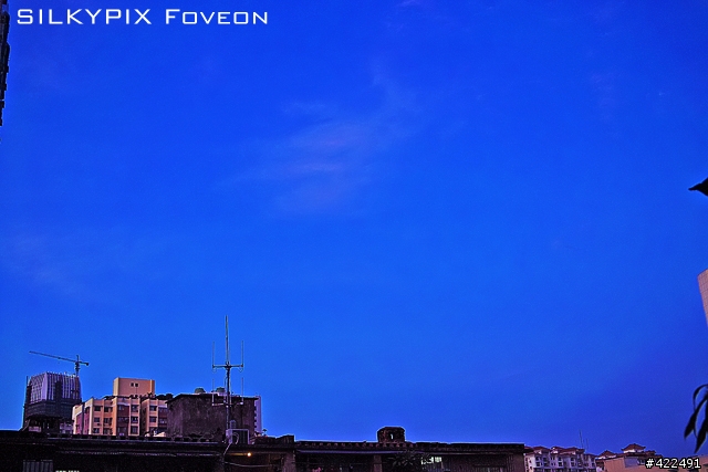 解放DP系列高ISO可用性,紅色易過曝問題,全能X3解壓工具SLIKYPIX FOVEON及SPP/CS5解壓效果對比.
