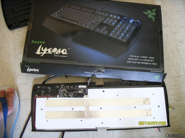 心血來潮~~~黑腹狼蛛  拆了