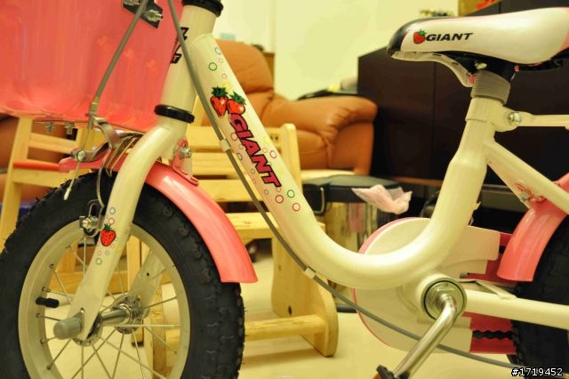 小豆芽的 捷安特 Giant KJ-125 12"童車分享~~