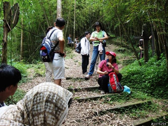 (照片)20100703奮起湖大凍山登山健行