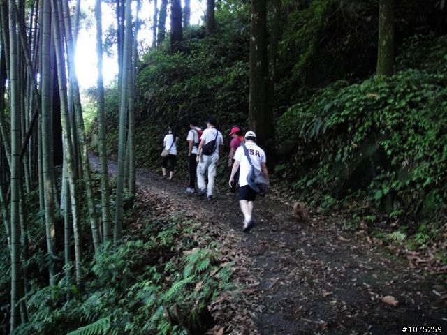 (照片)20100703奮起湖大凍山登山健行
