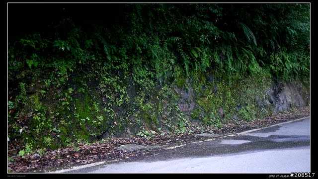 終於看到台灣的右肩：桃源谷步道越嶺 -草嶺古道