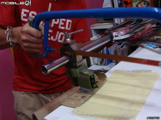 [分享] 我的第一台 FixEd GeAr "城市螢火蟲"