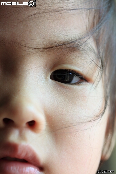 [開箱] - Canon EF-S 60mm f/2.8 Macro USM