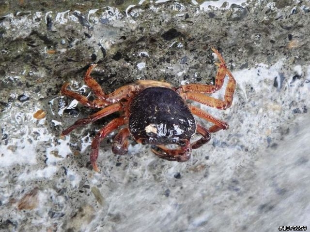 (照片)20100724桂林野餐戲水行