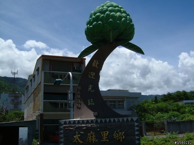 大激激與我環島去~8天逆時針海岸線~加花蓮太魯閣~武嶺