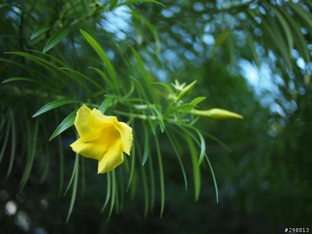 Oly+lumix in Sanya