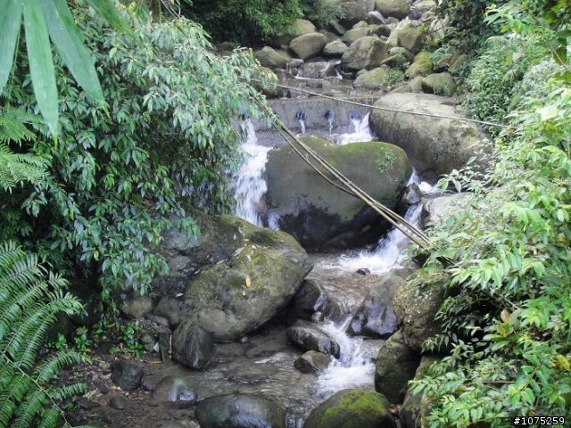 (照片)20100717石槌尾挑戰行