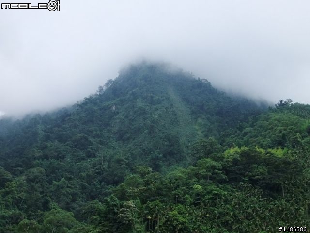 20100725嘉義阿里山公路公田路線探勘..算是成功啦!!