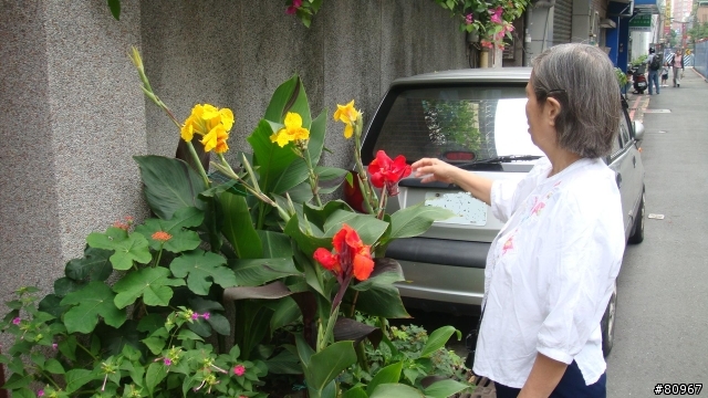 靓妹到我家-8
