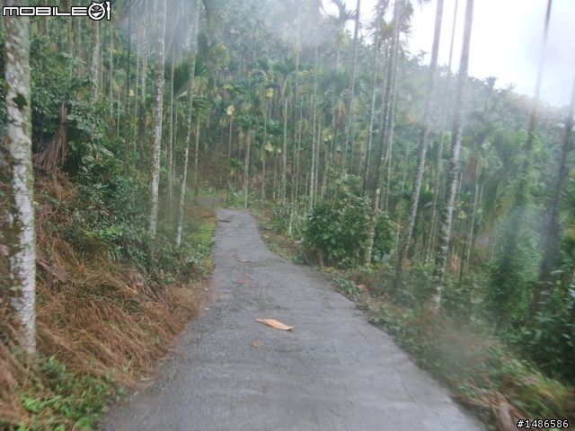 20100725嘉義阿里山公路公田路線探勘..算是成功啦!!