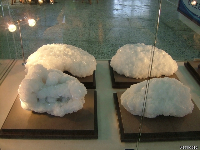 大激激與我環島去~8天逆時針海岸線~加花蓮太魯閣~武嶺