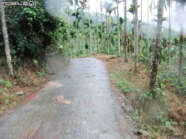 20100725嘉義阿里山公路公田路線探勘..算是成功啦!!