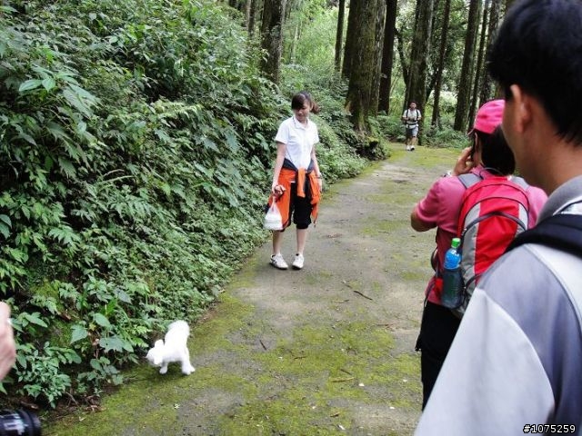 (照片)20100703奮起湖大凍山登山健行