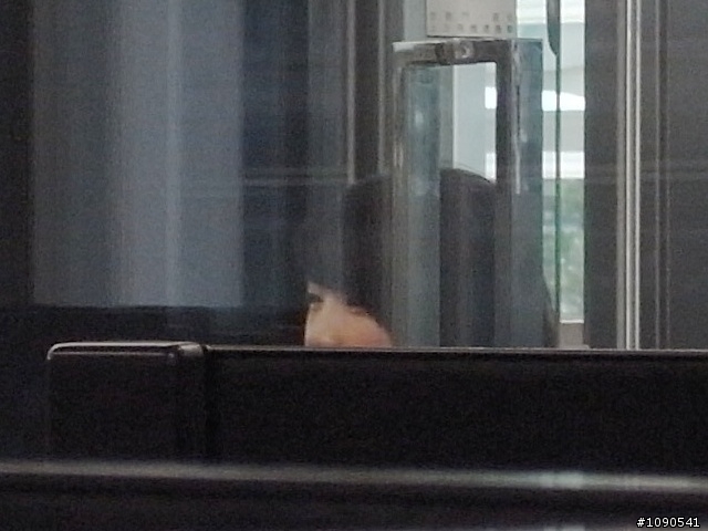 公司有正妹來應徵(再補圖)