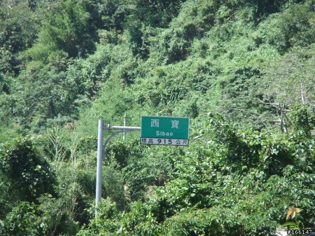 [遊記分享]我們在台灣公路之巔─武嶺，微笑