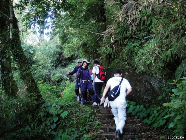 (照片)20100703奮起湖大凍山登山健行
