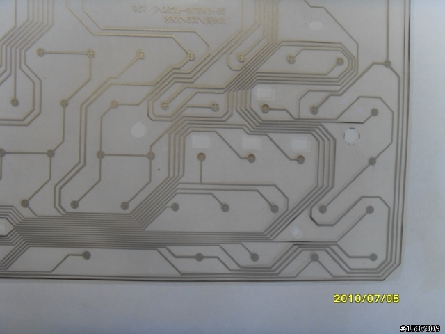 心血來潮~~~黑腹狼蛛  拆了