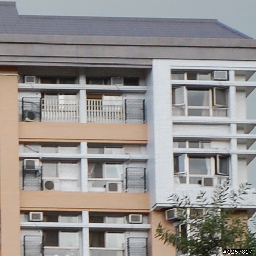 af 50 1.8d vs50 f2 ai vs 信乃達50 2.8不專業大比拼