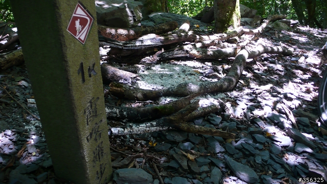 [遊記] 清石林道/霞喀羅古道夏日青爽騎