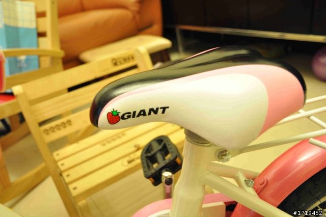 小豆芽的 捷安特 Giant KJ-125 12"童車分享~~