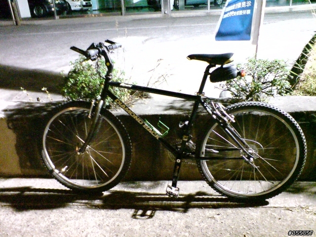 夜騎碰到蛇喔