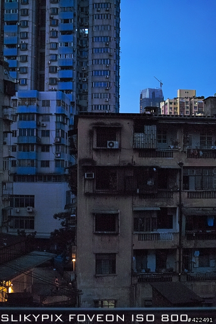 解放DP系列高ISO可用性,紅色易過曝問題,全能X3解壓工具SLIKYPIX FOVEON及SPP/CS5解壓效果對比.