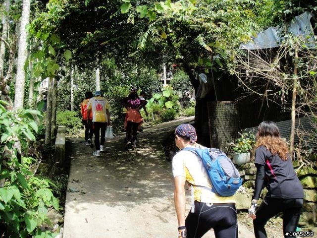 (照片)20100731後棟山賞景泡茶行