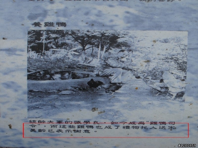 新竹張學良故居之錯很大