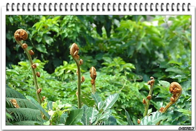 D70老兵不死，只是逐漸凋零