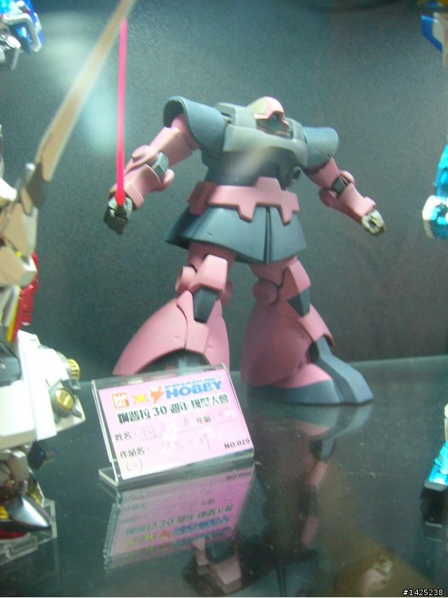 2010 鋼普拉30週年模型賽~