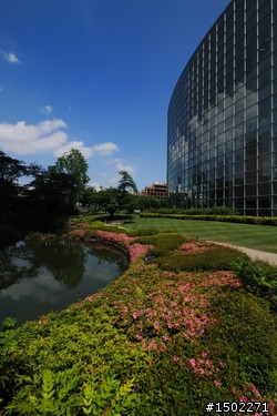 Tokina 16 28 f2.8終于快要發售拉！