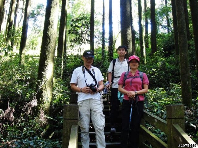 (照片)20100703奮起湖大凍山登山健行