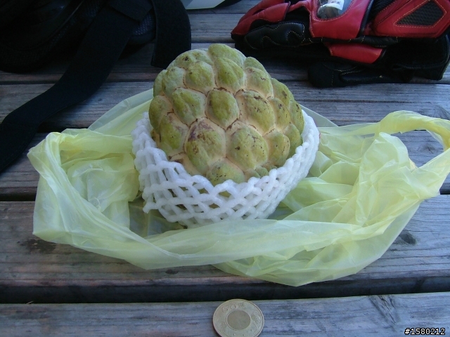 大激激與我環島去~8天逆時針海岸線~加花蓮太魯閣~武嶺