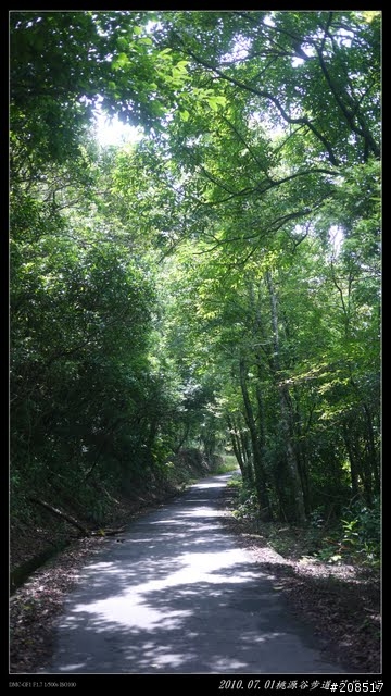 終於看到台灣的右肩：桃源谷步道越嶺 -草嶺古道