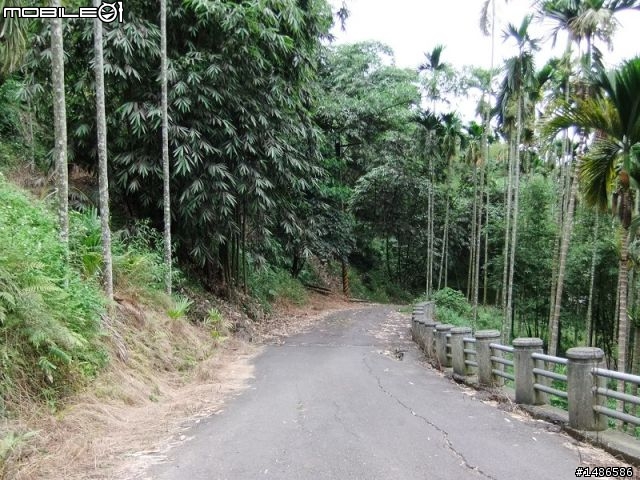 20100725嘉義阿里山公路公田路線探勘..算是成功啦!!