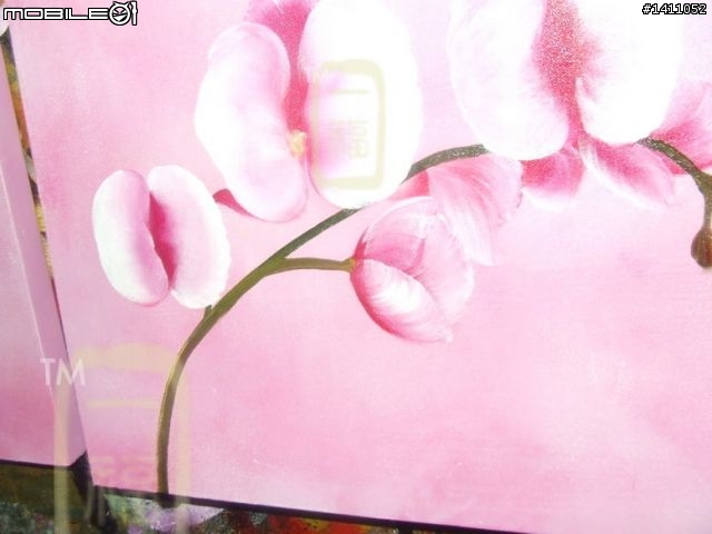 2010新品整理