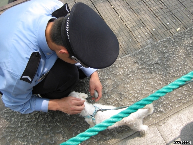 對岸之Focus 1.8 4D封箱文，外加遊記分享