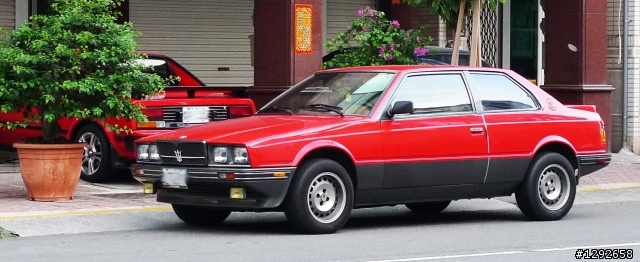 近期拍到的一些義大利美駒